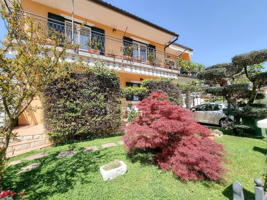Alma One Apartment Novigrad  Bagian luar foto
